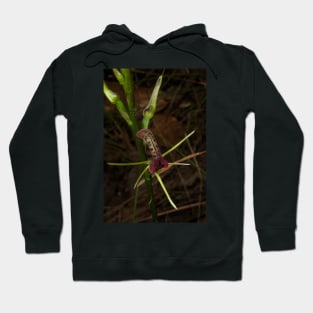 Tongue Orchid Hoodie